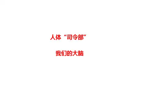 小学科学五上《我们的大脑》 课件