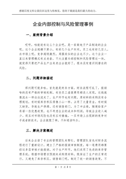 企业内部控制与风险管理事例