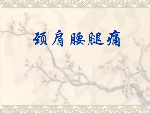 颈肩腰腿痛PPT课件