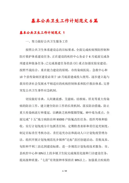 基本公共卫生工作计划范文6篇
