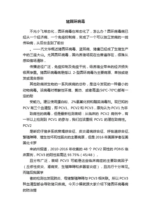 猪圆环病毒