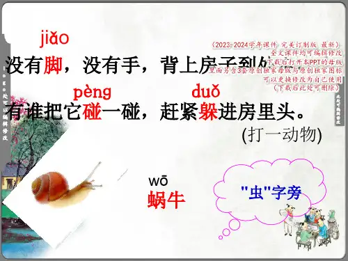 《小蜗牛》课件(共21张PPT)
