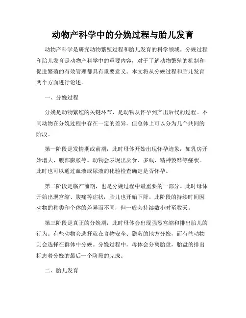 动物产科学中的分娩过程与胎儿发育