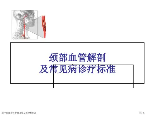 超声颈部血管解剖及常见病诊断标准
