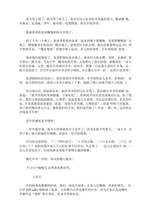 过年初二作文800字5篇(最新)