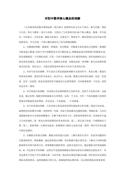 对初中数学核心概念的认识