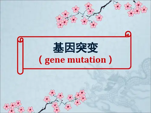 《遗传学基因突变》PPT课件