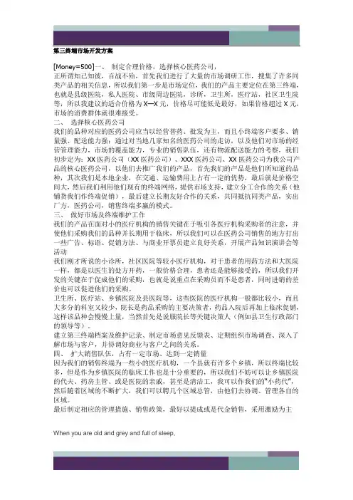 第三终端市场开发方案