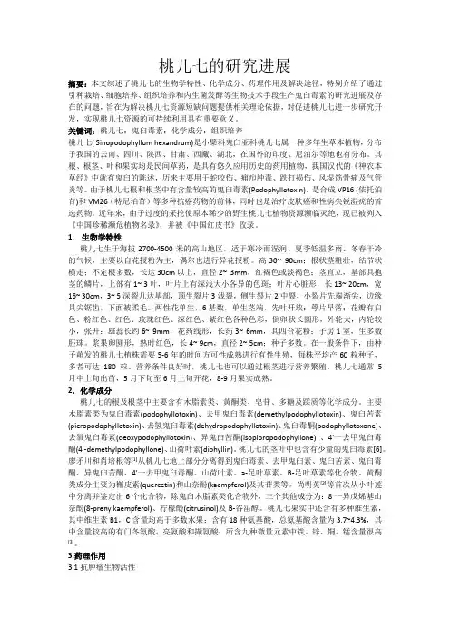 桃儿七的研究进展