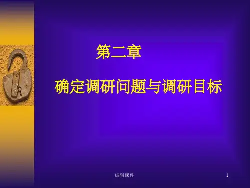 确定调研问题与调研目标