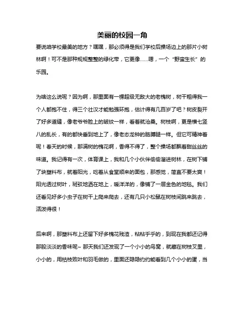 作文《美丽的校园一角》