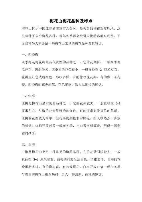 梅花山梅花品种及特点