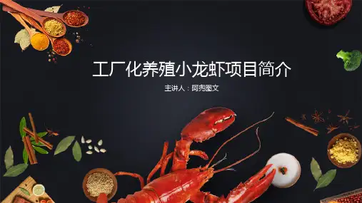 工厂化养殖小龙虾产品项目简介ppt(内容详尽+框架完整)