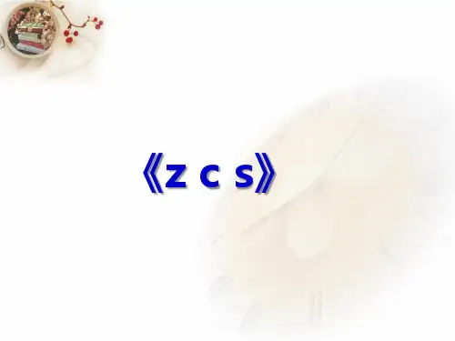 《zcs》教学课件(共11张PPT)
