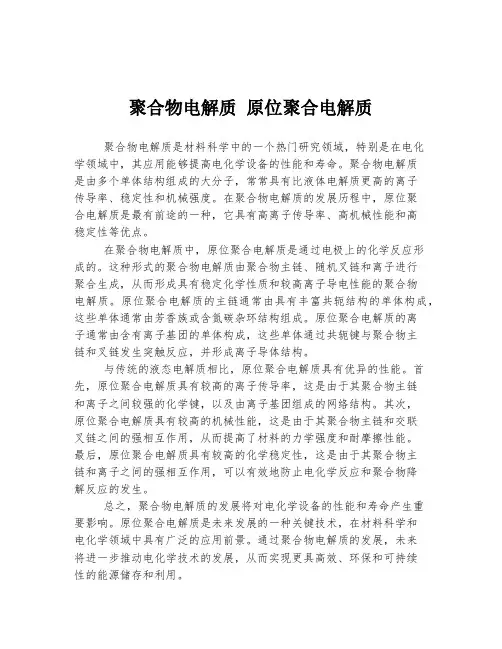 聚合物电解质 原位聚合电解质