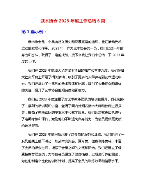 武术协会2023年度工作总结6篇