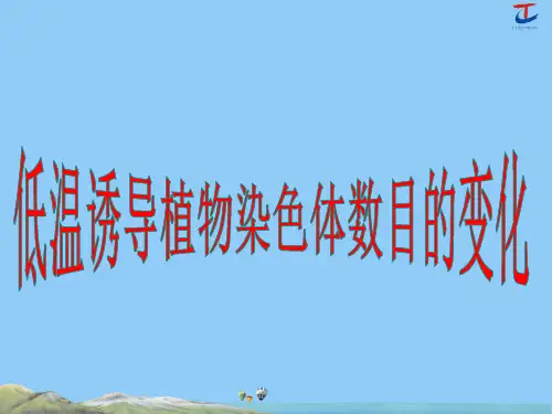 22.低温诱导植物染色体数目的变化