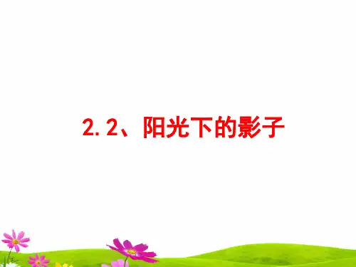教科版小学五年级上册科学《阳光下的影子》教学课件