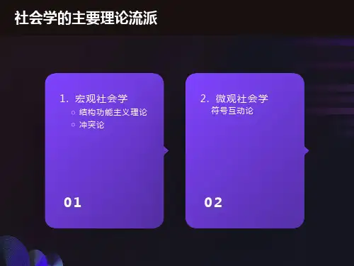 社会学第二讲：社会学的主要理论视角