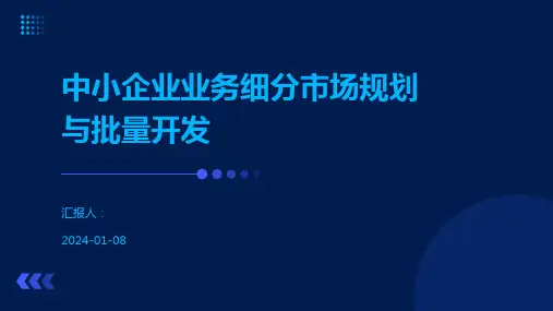 中小企业业务细分市场规划与批量开发