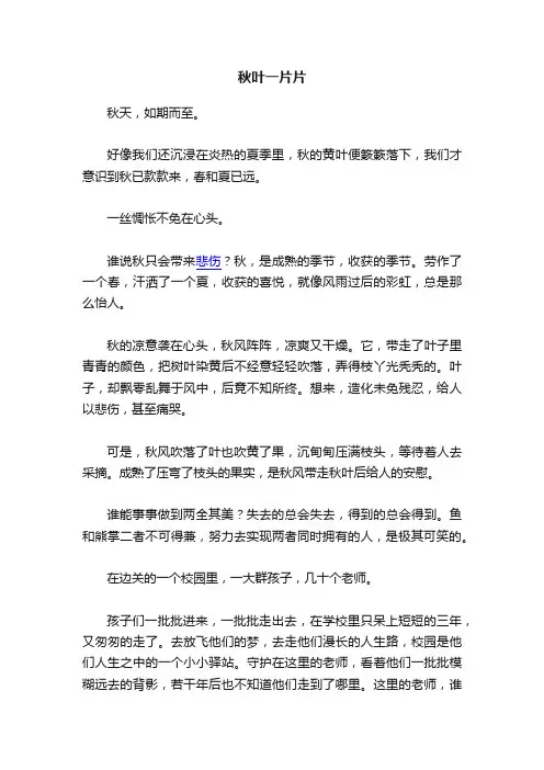 秋叶一片片