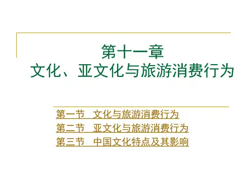 111旅游消费者行为学 第十一章-文化亚文化