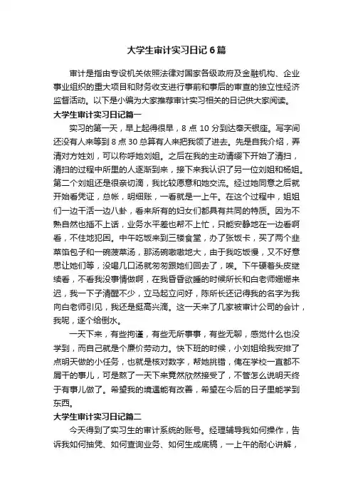 大学生审计实习日记6篇