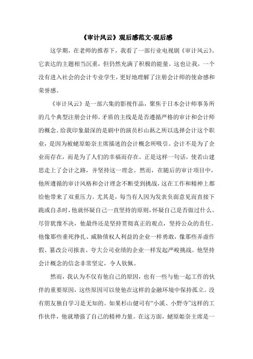 《审计风云》观后感范文-观后感.doc