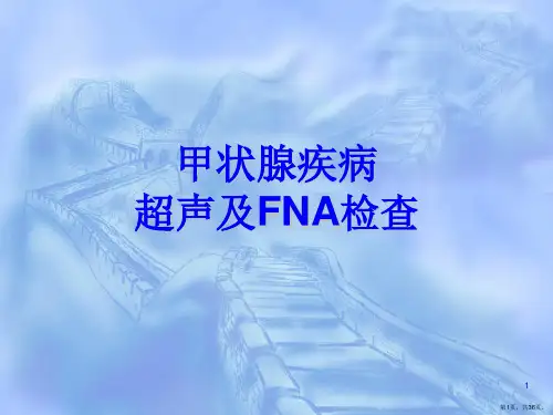 甲状腺B超检查ppt课件