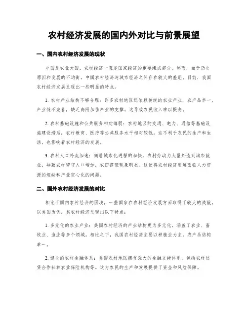 农村经济发展的国内外对比与前景展望