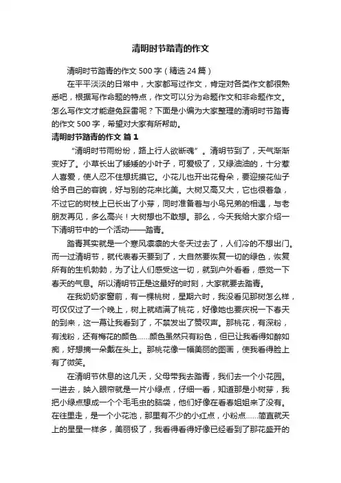 清明时节踏青的作文500字（精选24篇）