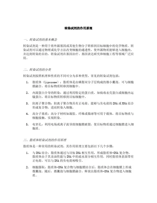 转染试剂的作用原理