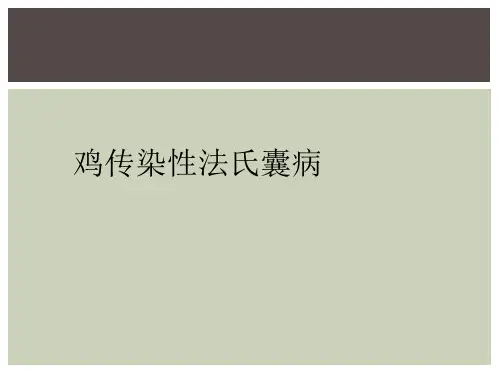 鸡传染性法氏囊病