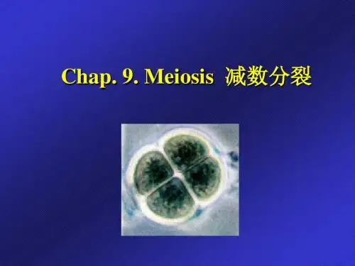 生物学导论biology9