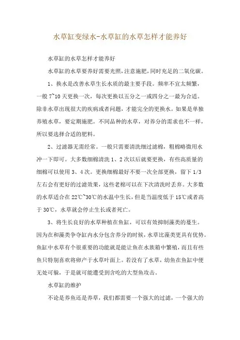 水草缸变绿水-水草缸的水草怎样才能养好