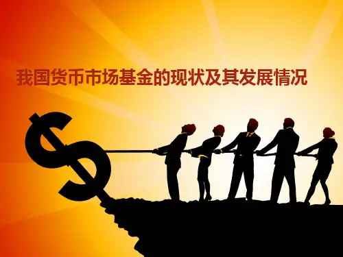 我国货币市场基金的现状及其发展情况.ppt