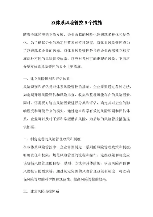 双体系风险管控5个措施