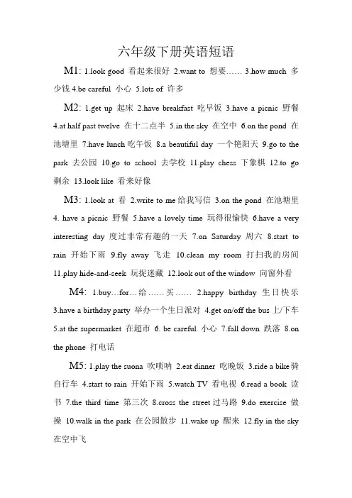 六年级下册英语短语