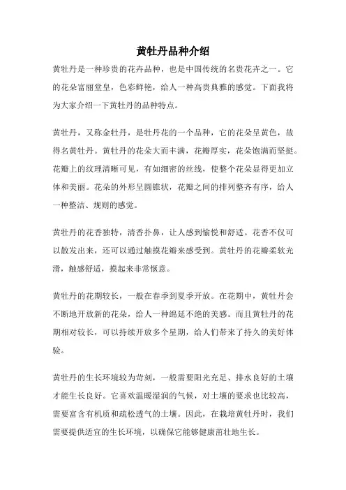 黄牡丹品种介绍