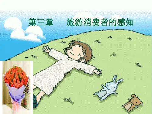 《旅游消费者行为学》课件—03旅游消费者感知