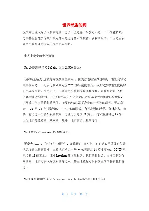世界最重的狗