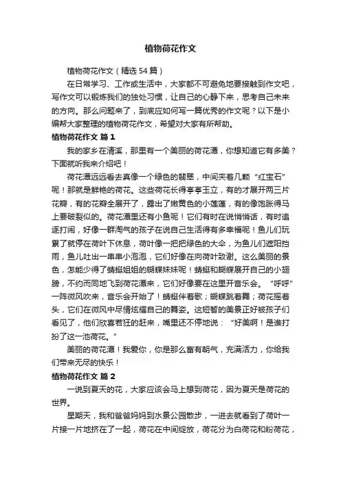 植物荷花作文（精选54篇）