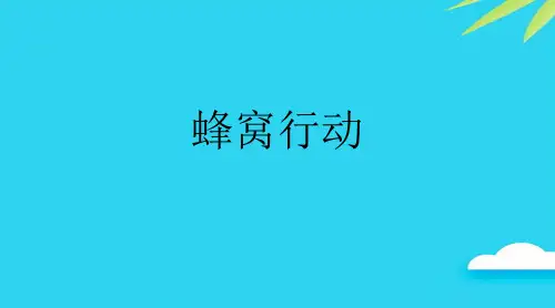 蜂窝行动 优质PPT资料