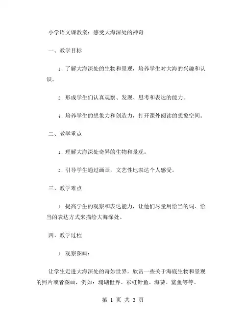 小学语文课教案：感受大海深处的神奇