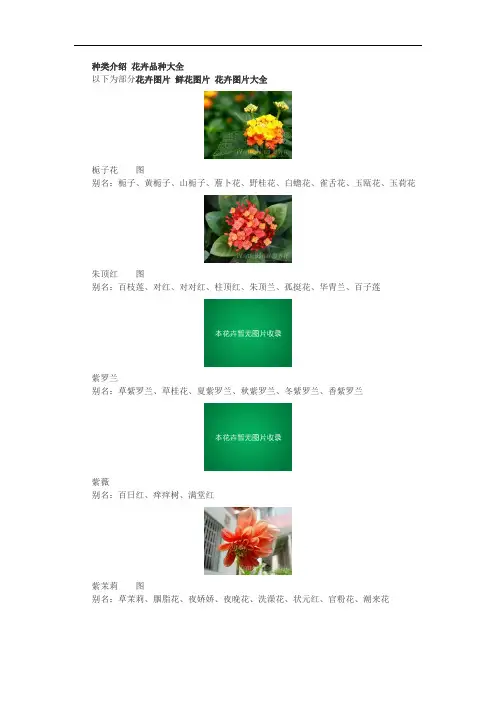 花的种类介绍花卉品种大全鲜花图片花卉图片大全