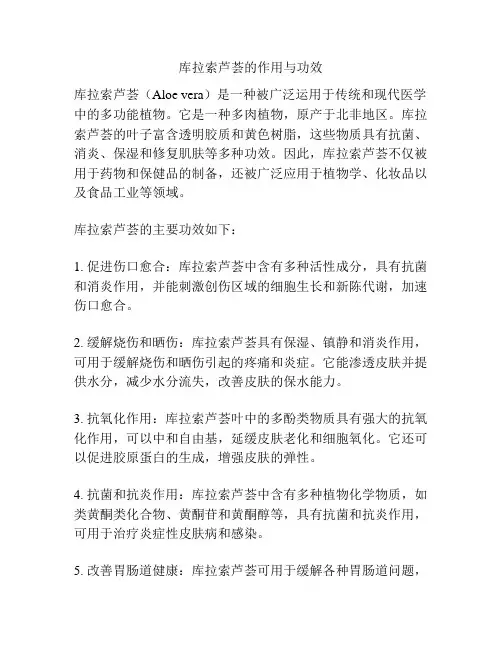 库拉索芦荟的作用与功效
