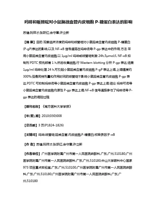 吗啡和哌替啶对小鼠脑微血管内皮细胞P-糖蛋白表达的影响