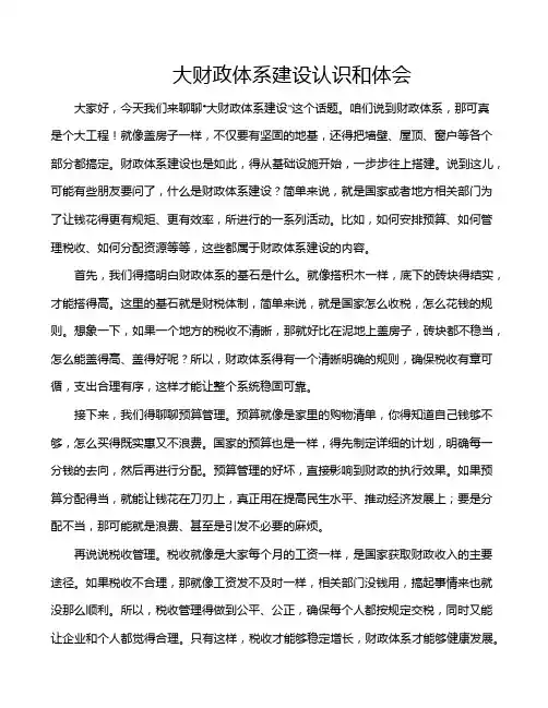 大财政体系建设认识和体会