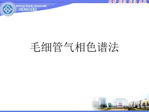 毛细管气相色谱法