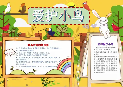【手抄报】爱护保护小鸟手抄报模板(A4版附线稿直接打印)